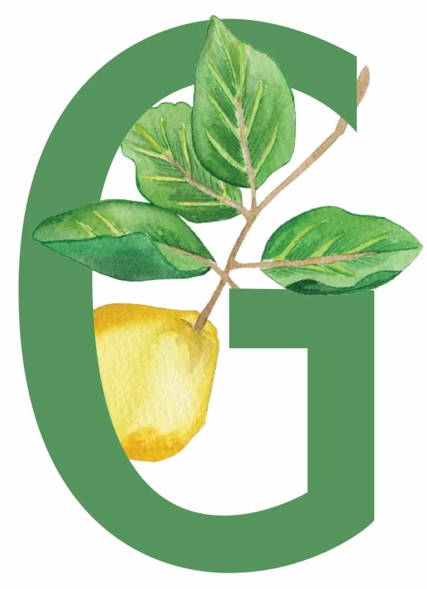 Fruska Gora Guesthouse logo